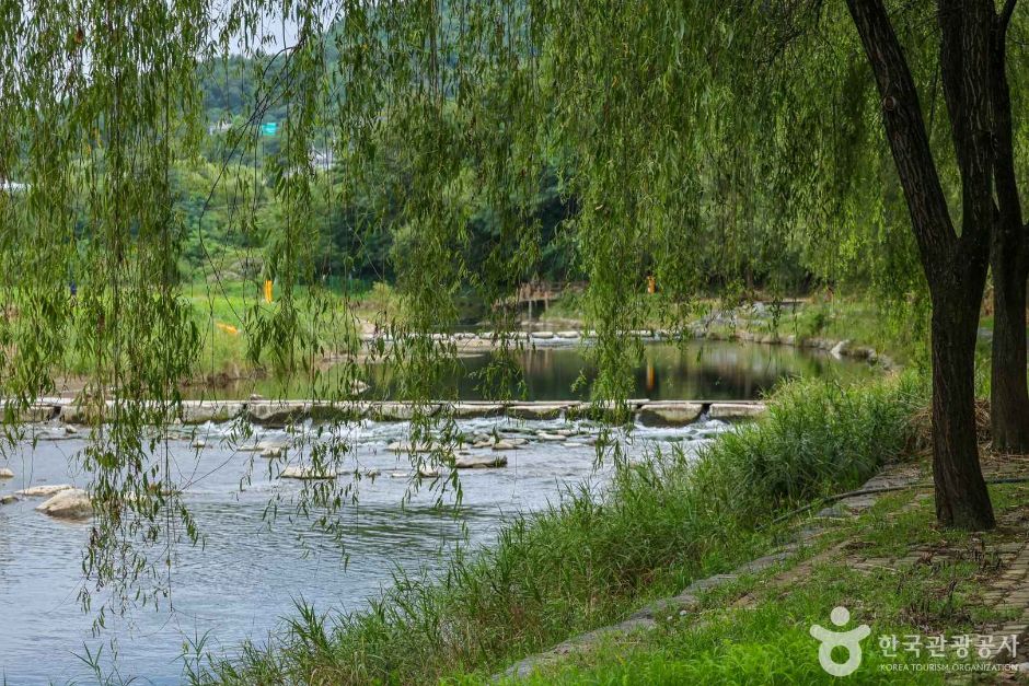 초지공원 (대별수변공원)