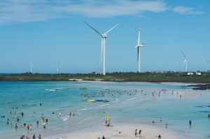 김녕성세기해변 (김녕해수욕장)