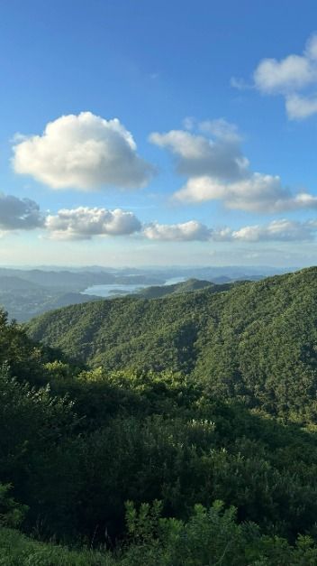 식장산 정상쉼터
