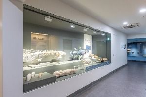 부산_부산해양자연사박물관 (3)