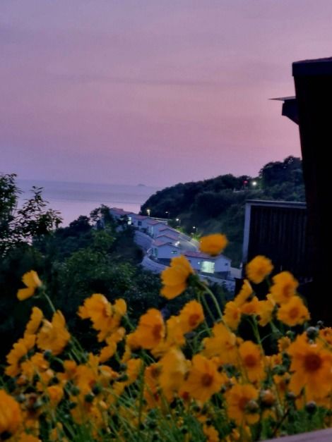 변산자연휴양림
