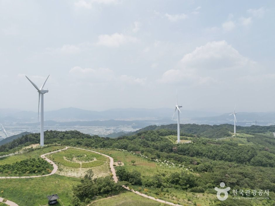 경주_경주 풍력발전(바람의언덕) (4)