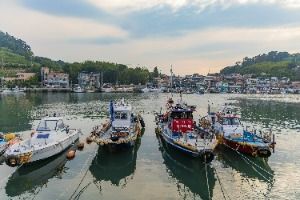 사천_늑도 (5)