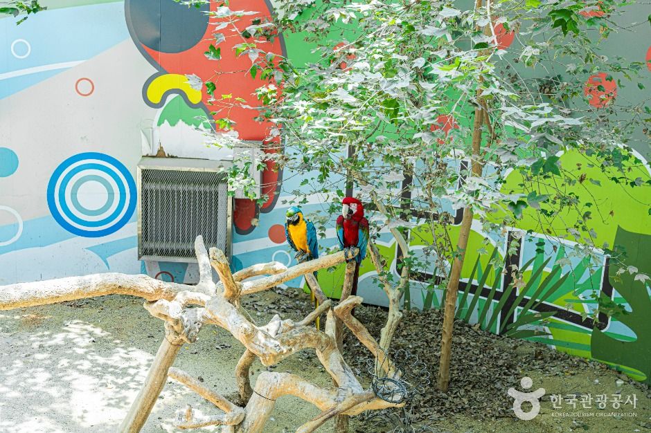 광주 우치공원 동물원
