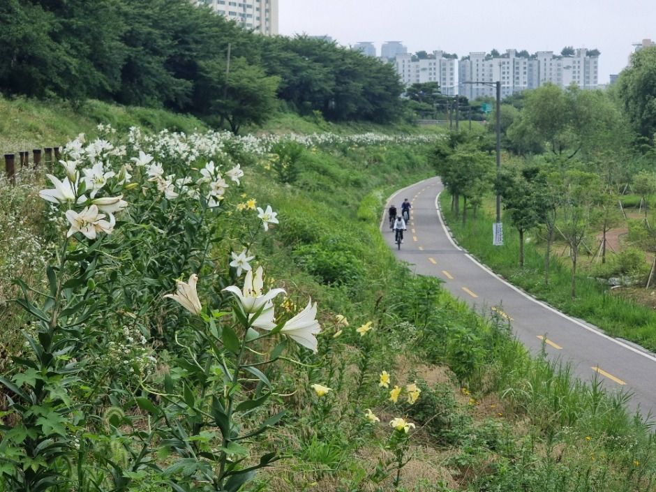 [서울둘레길 14코스] 안양천 하류코스