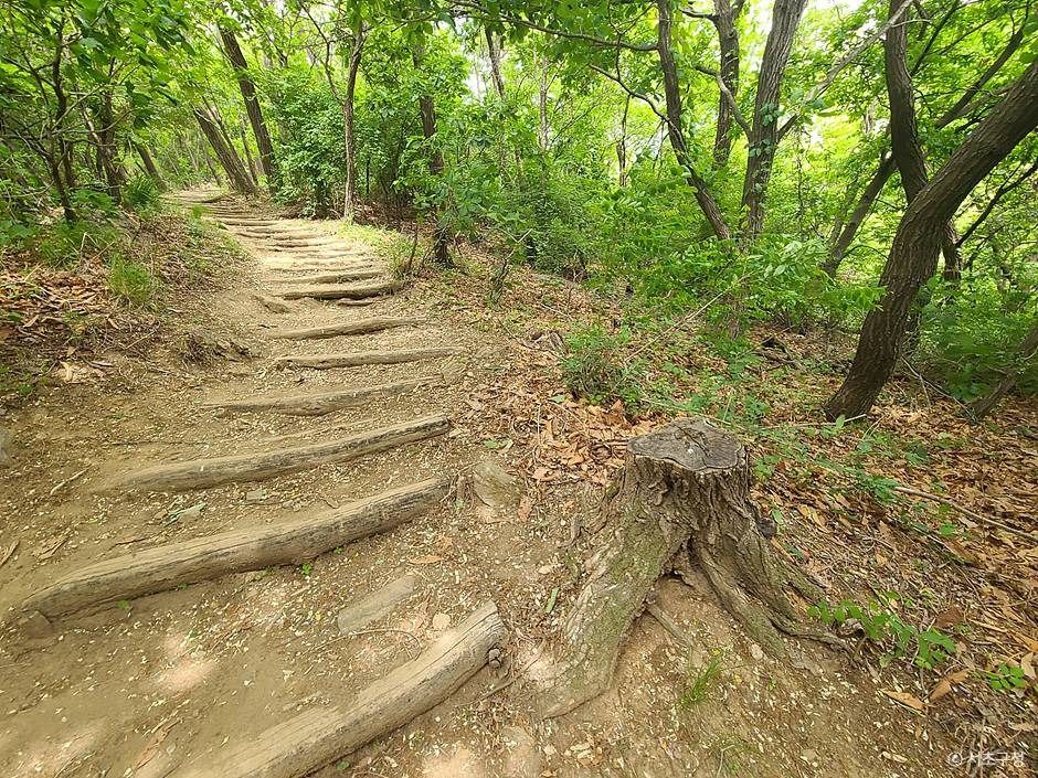 구룡산(서울)
