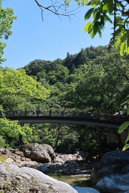 산청_대원사계곡길 (6)