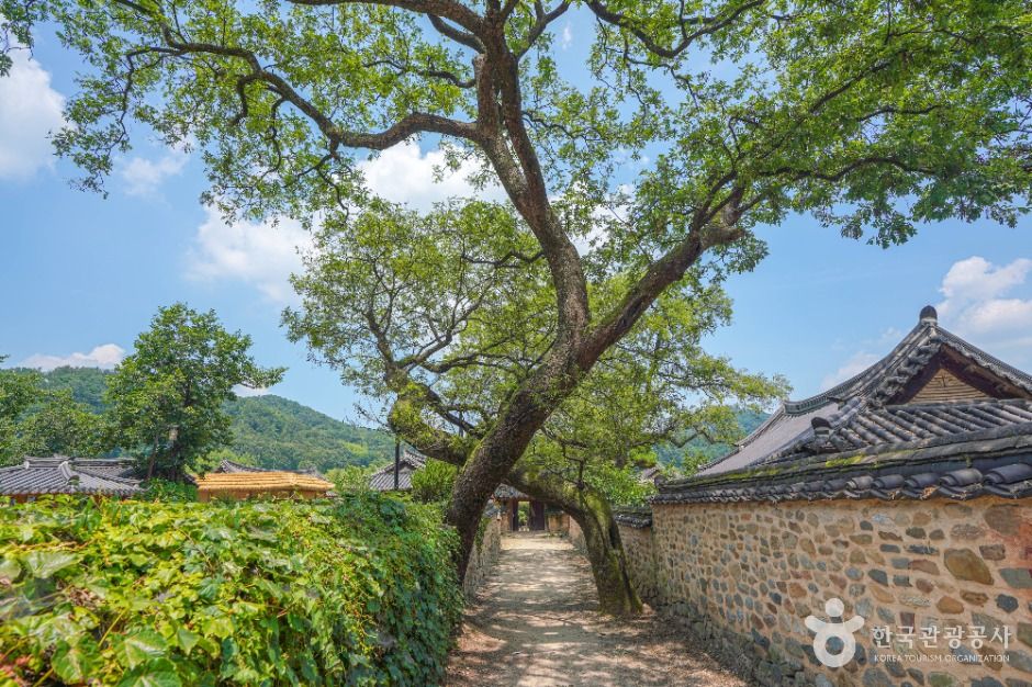 산청 남사리 이씨고가