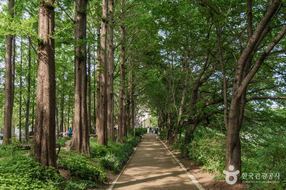 양재천 근린공원