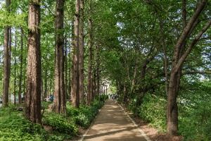 서울_양재천 근린공원 (5)