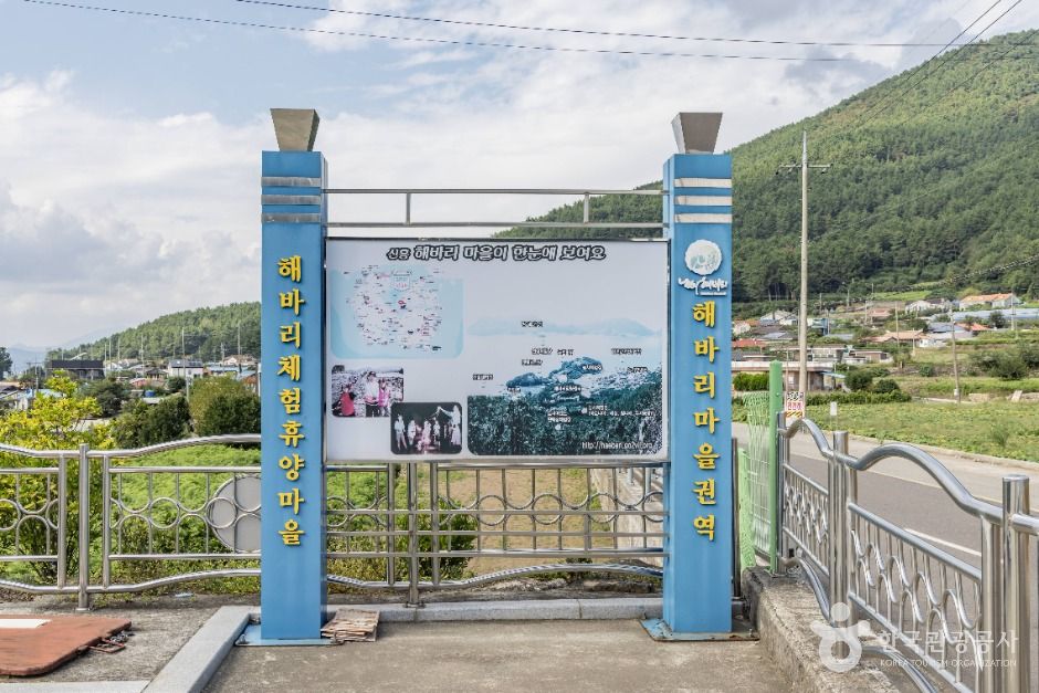 신흥해바리마을