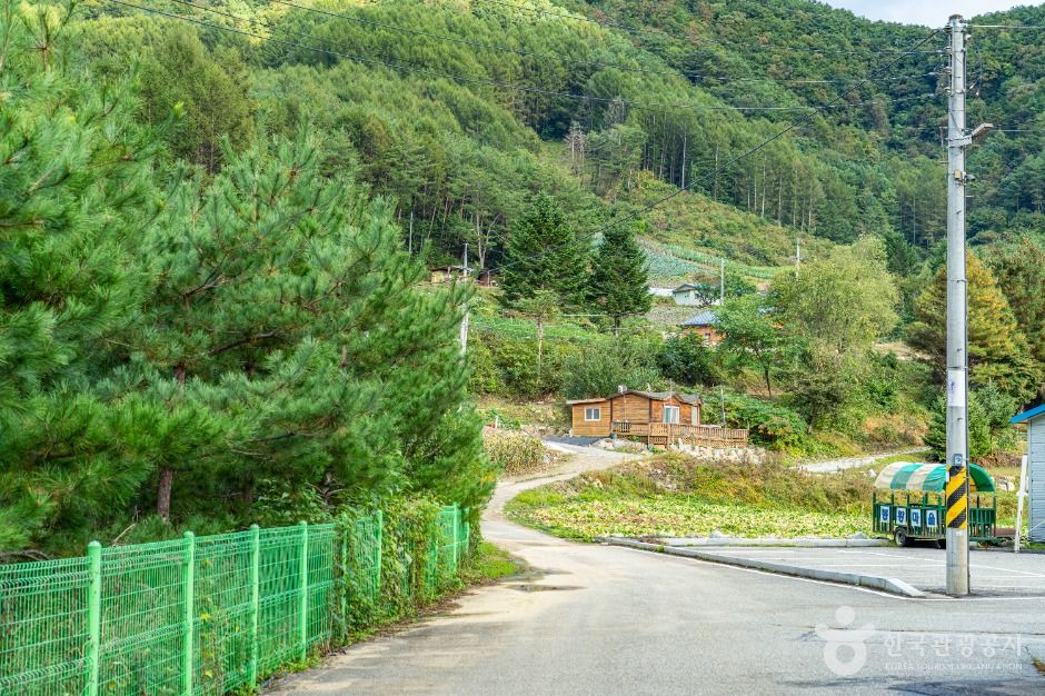 평창_봉황둘레길 (11)