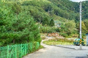 평창_봉황둘레길 (11)