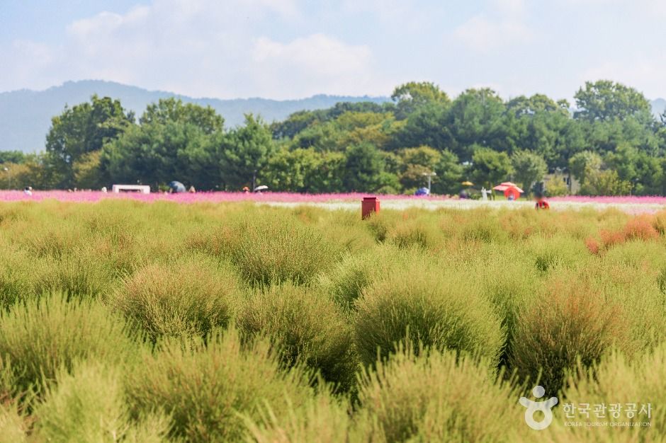 thumbnail-나리농원-6