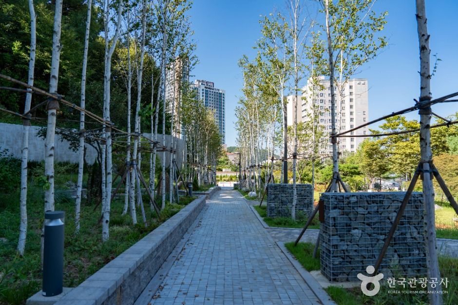 thumbnail-용인중앙공원-9