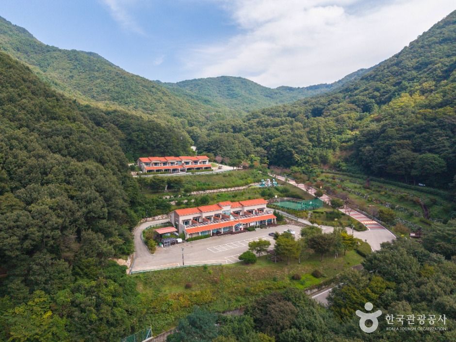 팔공산금화자연휴양림