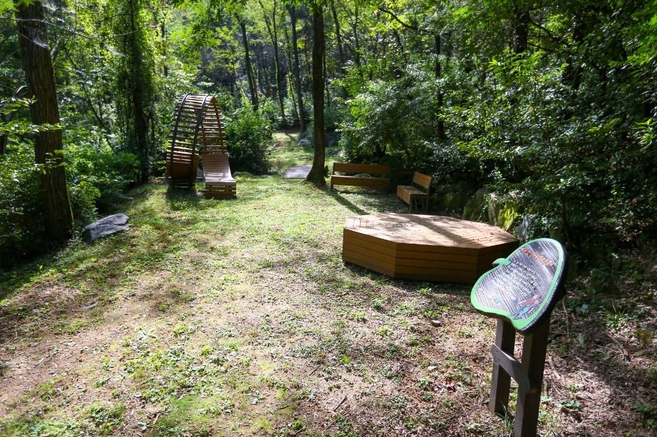 태학산자연휴양림_숲1