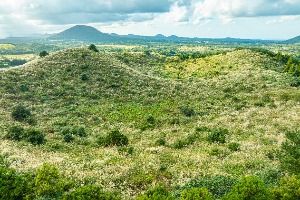 제주_손지오름 (3)