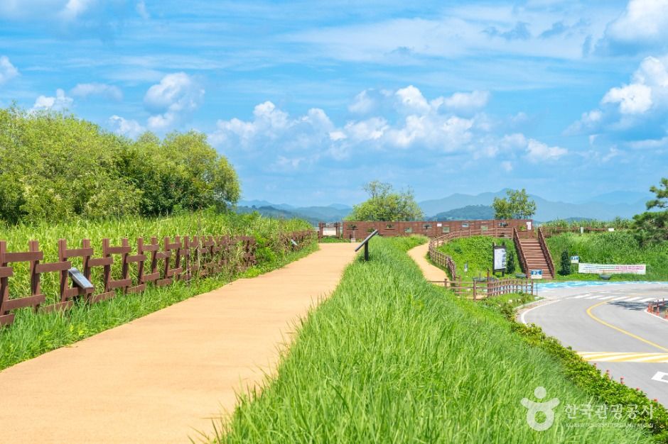 주남저수지 철새도래지
