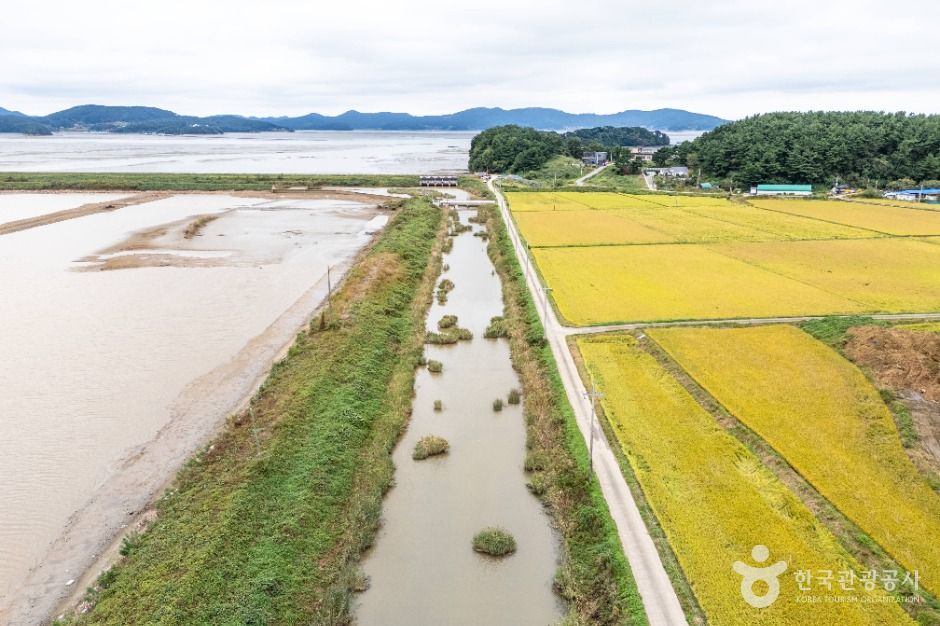 서산시_중왕리수로 (3)
