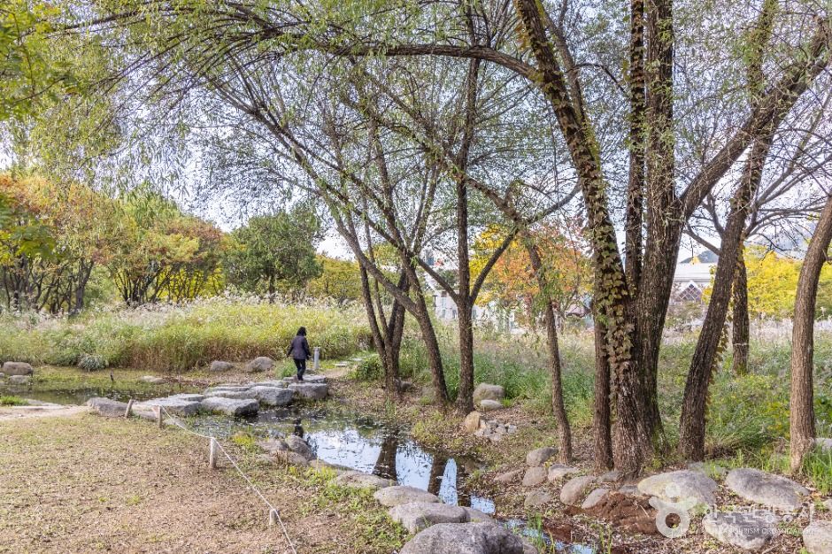 서울_서울창포원 (5)