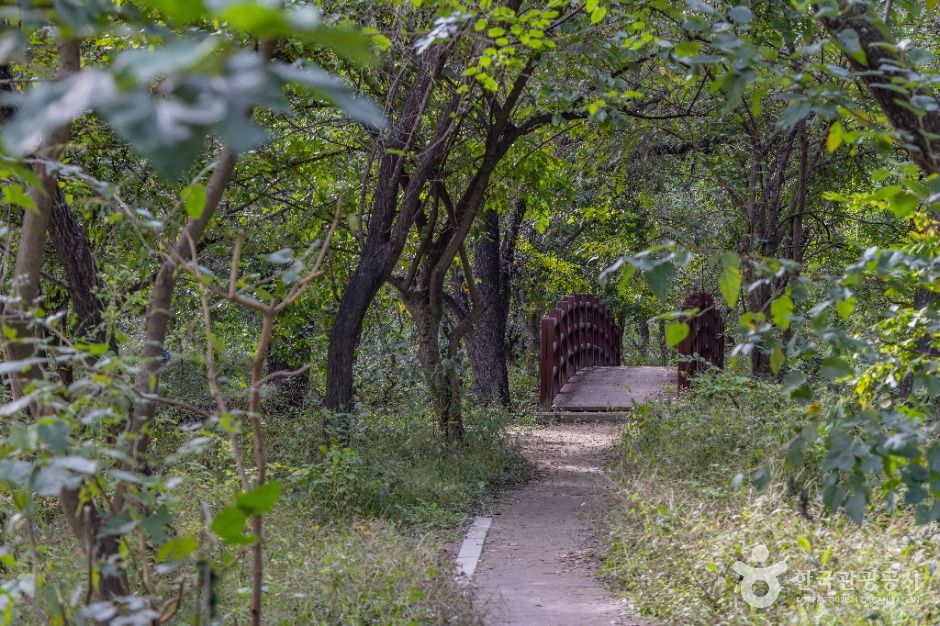 thumbnail-여의도샛강생태공원-6