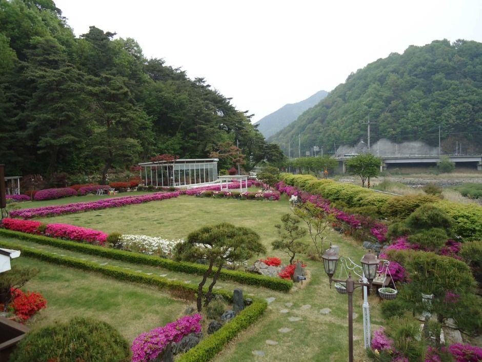 강이있는풍경펜션