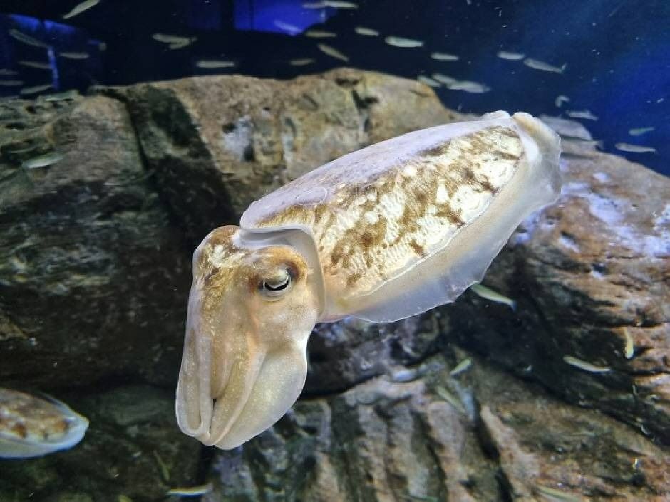 전라남도해양수산과학관