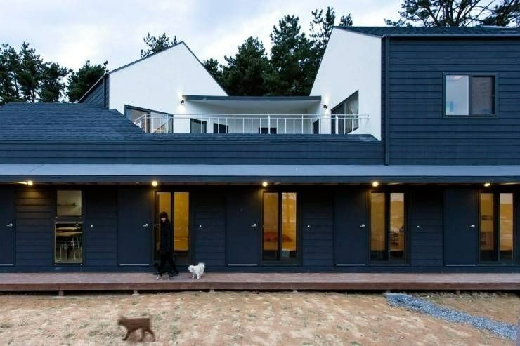 태안_애견민박 멍집_전경 (3)