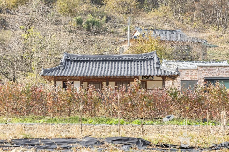 임실김용택시인문학관