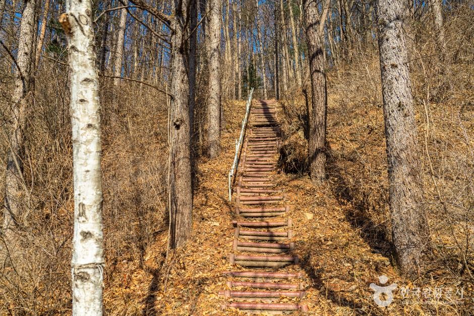 평창_고랭길 (2)