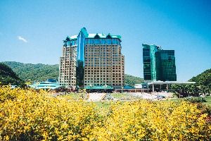 하이원 그랜드호텔