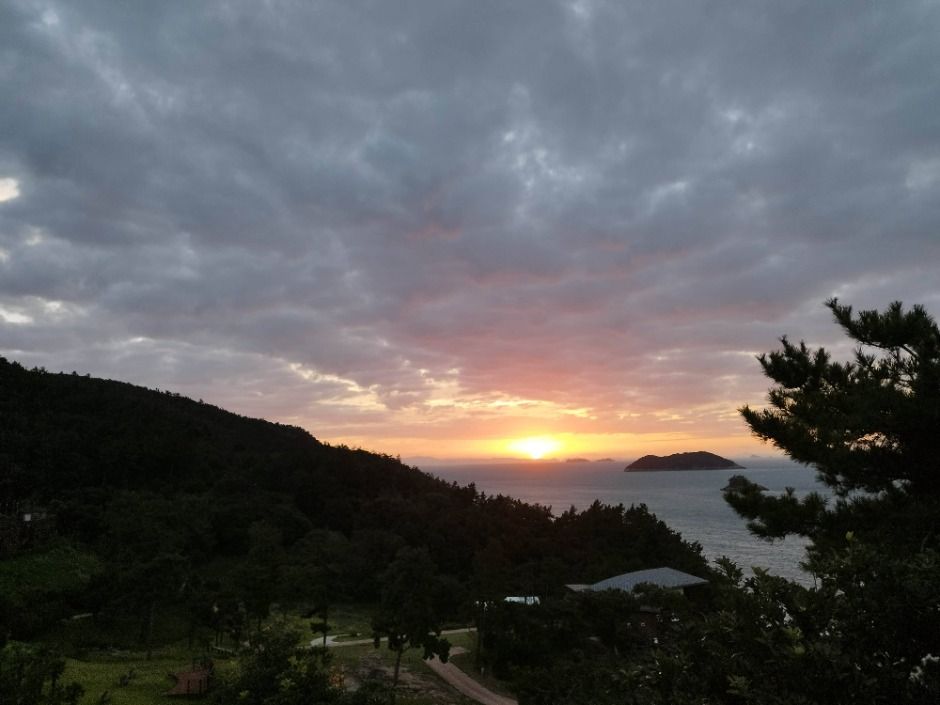 진도_국립진도자연휴양림 (10)