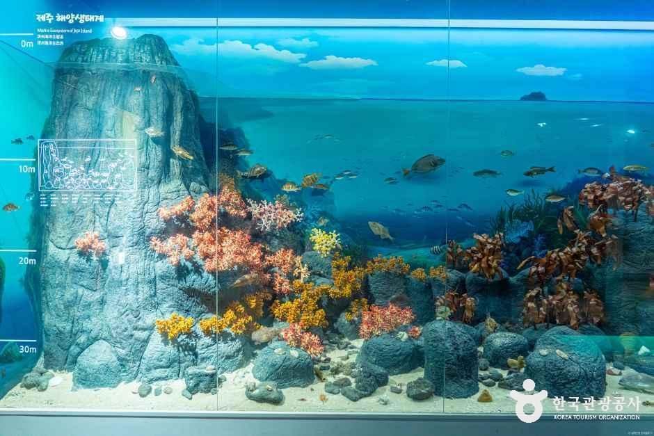 thumbnail-제주 세계자연유산센터-2