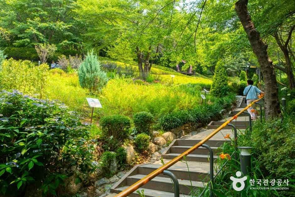thumbnail-서대문 안산(안산자락길)-8