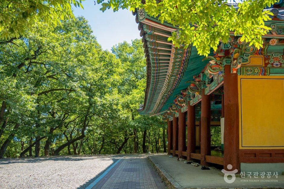 thumbnail-자인계정숲(경산 자인의 계정숲)-20
