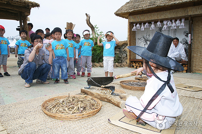 Sancheong Medicinal Herb Festival (산청 한방약초축제)