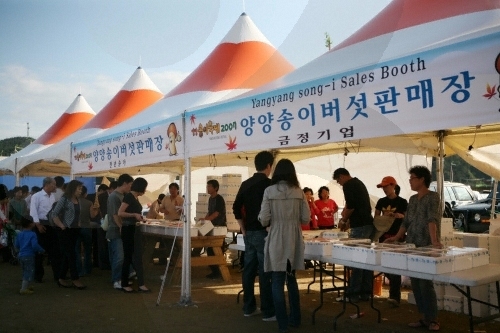 Yangyang Songi Festival (Pine Mushroom Festival) (양양송이축제)