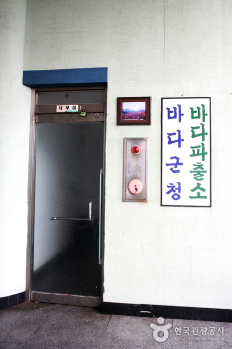 Daejin Beach (대진해수욕장)