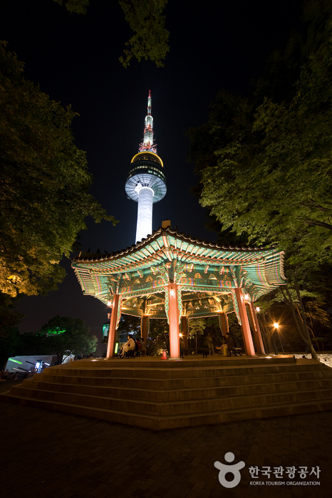 Namsan Cable Car (남산 케이블카)