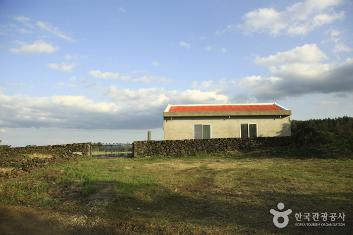 [제주올레 1코스] 시흥-광치기 올레8