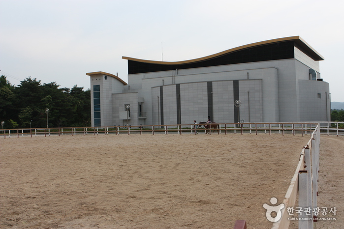 경주승마리조트 트랙