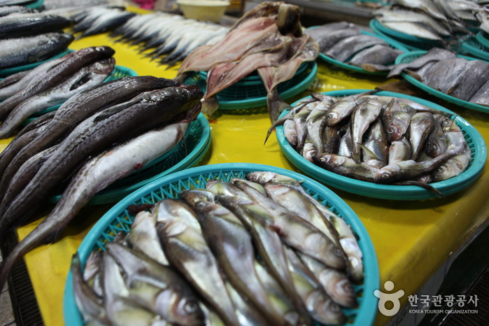 Mercado de pescado Jumunjin (강릉 주문진수산시장)