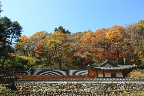Guryongsa Temple (구룡사)