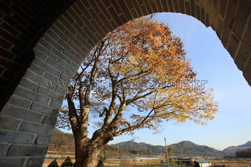 용소막성당 사진11