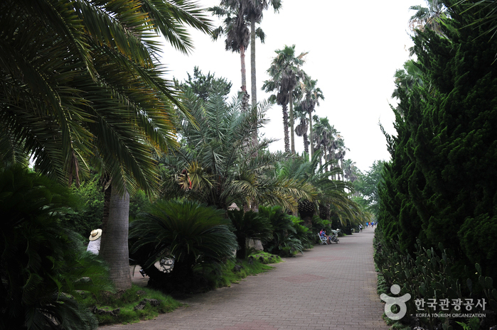 Hallim Park (한림공원)