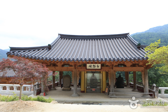 thumbnail-Woljeongsa Temple & Fir Tree Forest (월정사·월정사 전나무숲 )-2