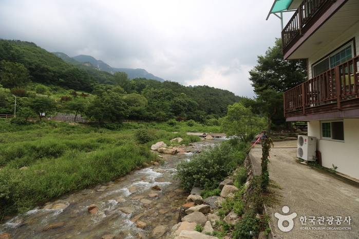 월악펜션빌 고흐의집0