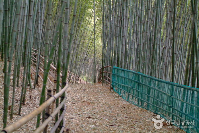 Parque Temático del Bambú (대나무골 테마공원)