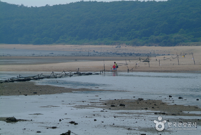 實尾海水浴場(실미해수욕장)0